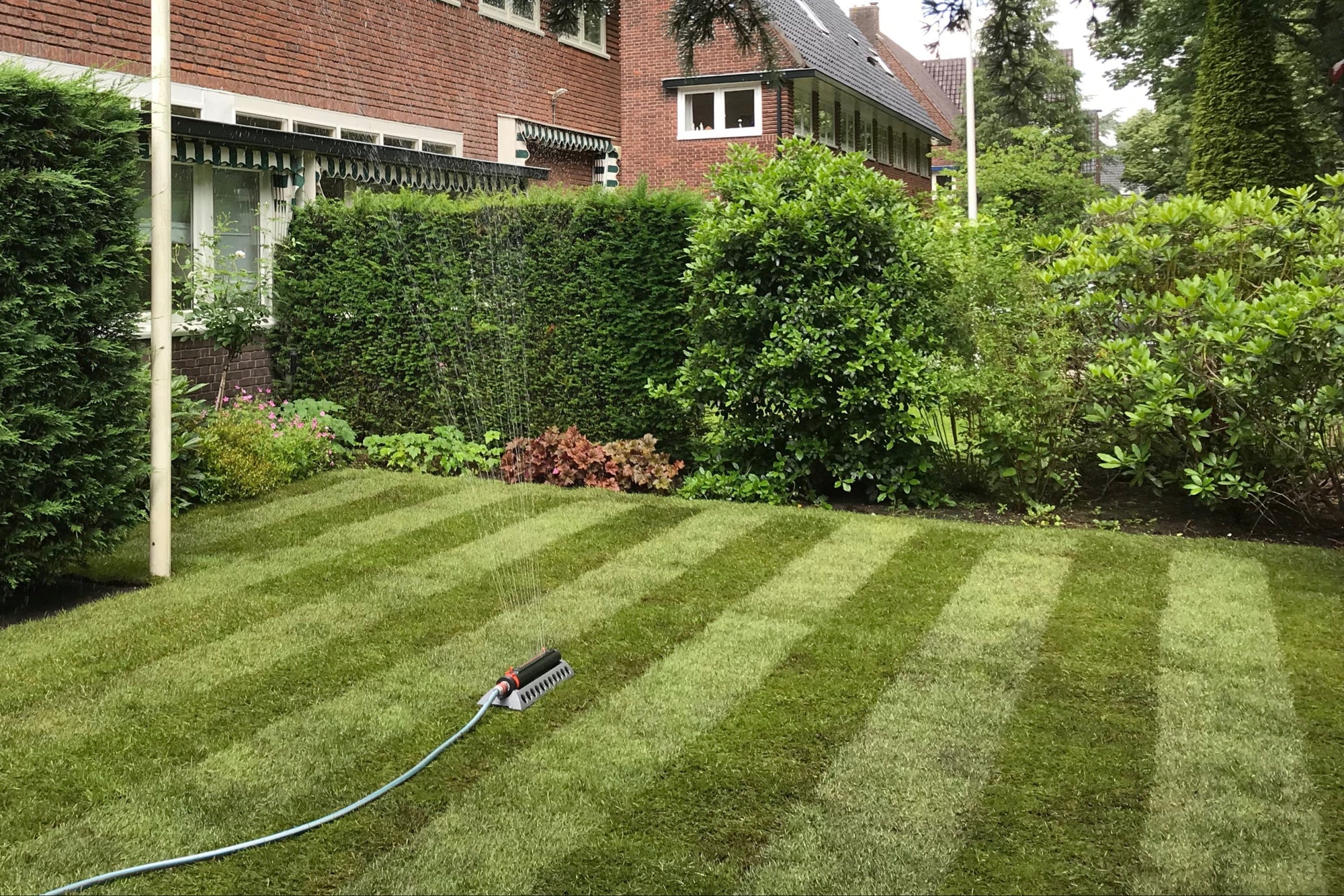 Graszodenlegger