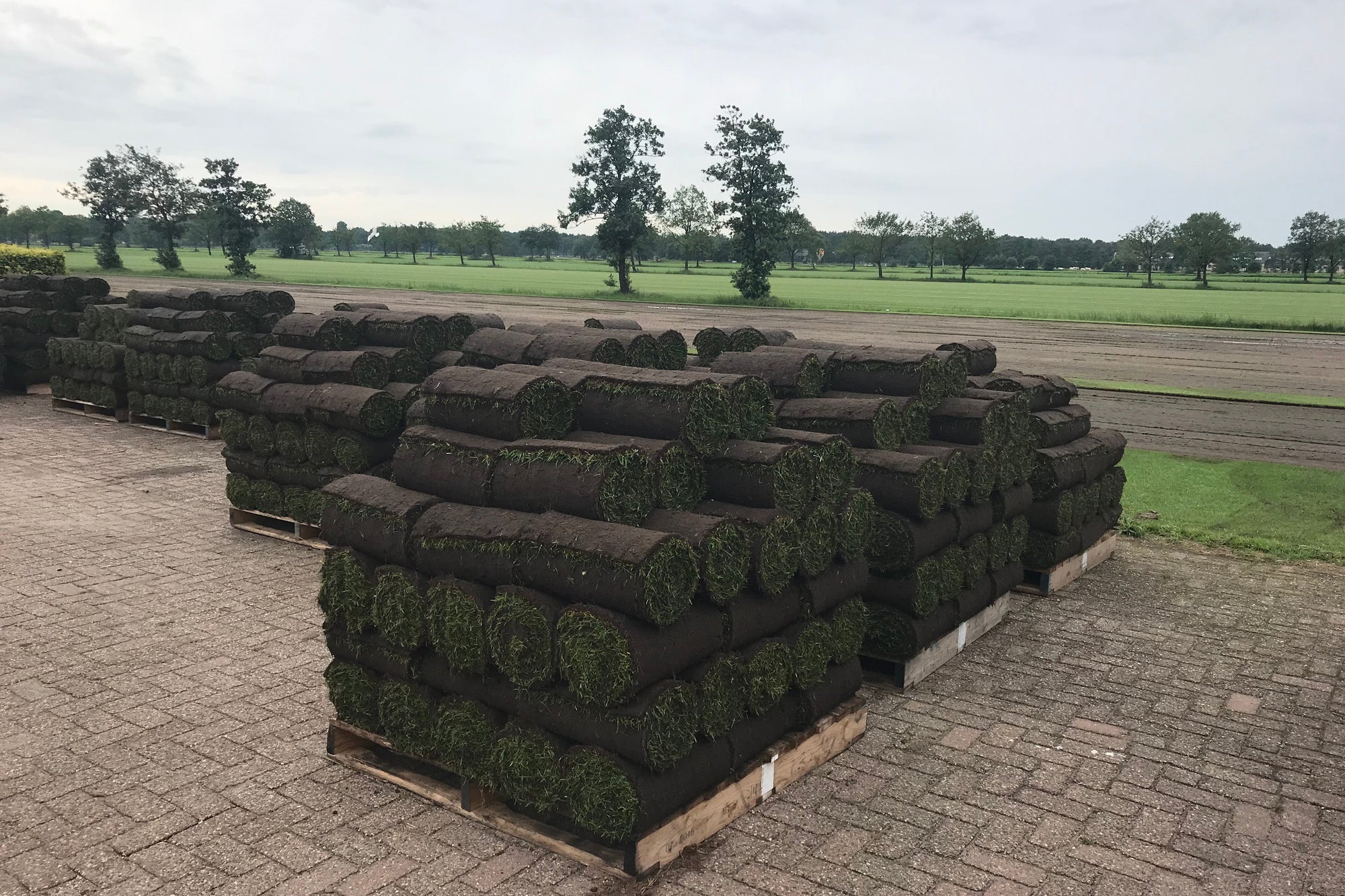 Graszodenlegger