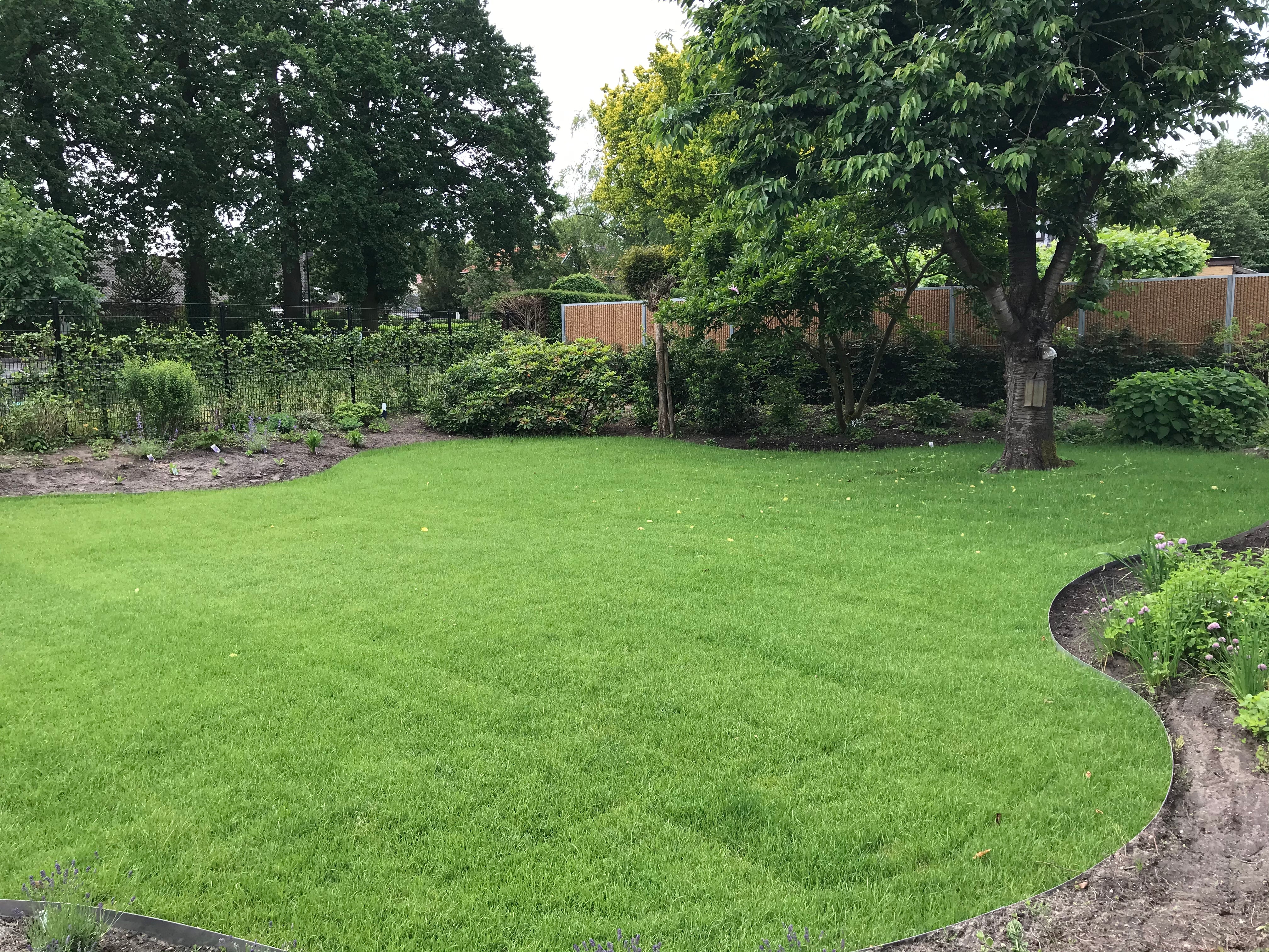 Graszoden laten leggen - 31 m² tot 50 m²