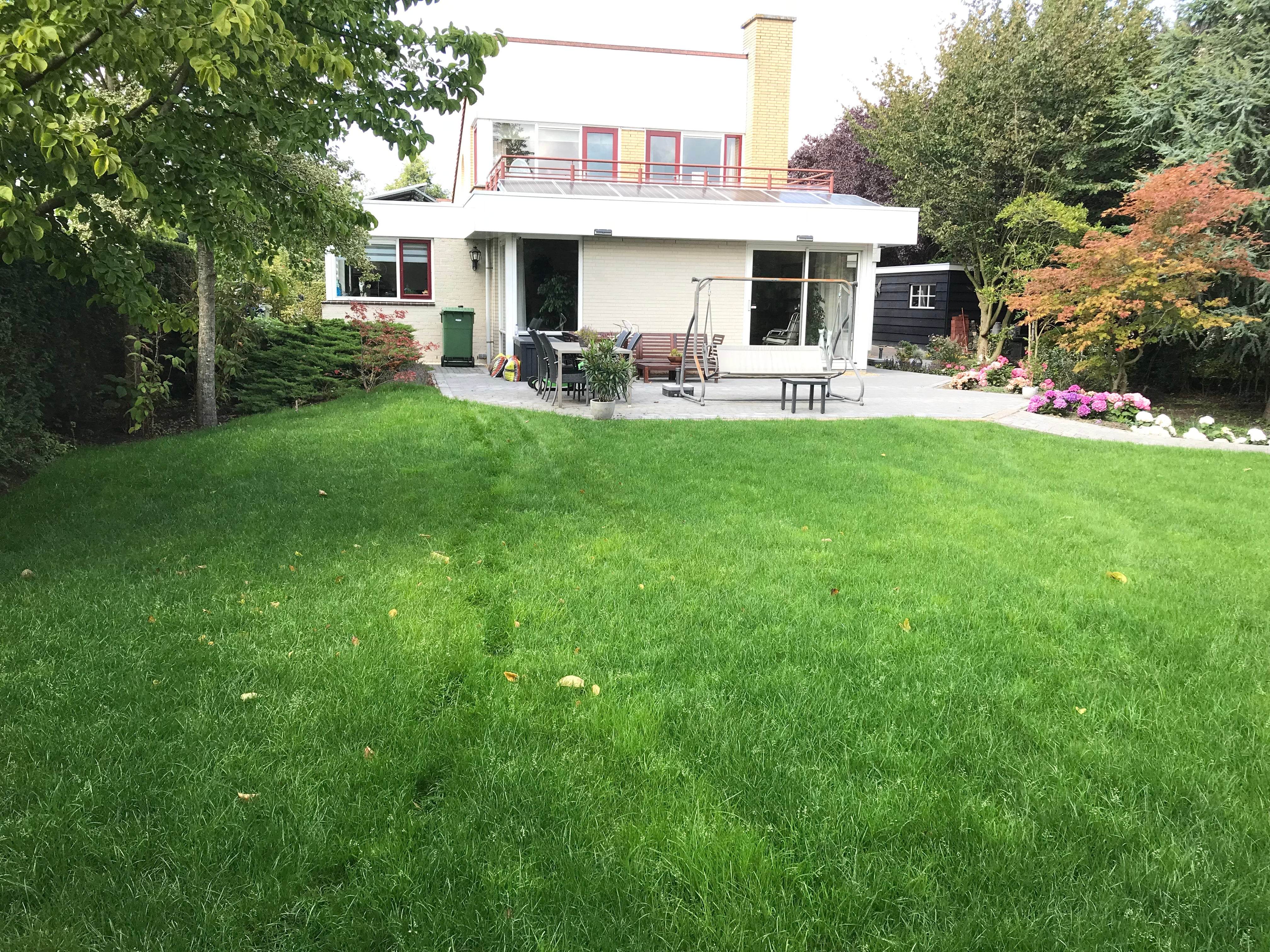 Graszoden laten leggen - 31 m² tot 50 m²