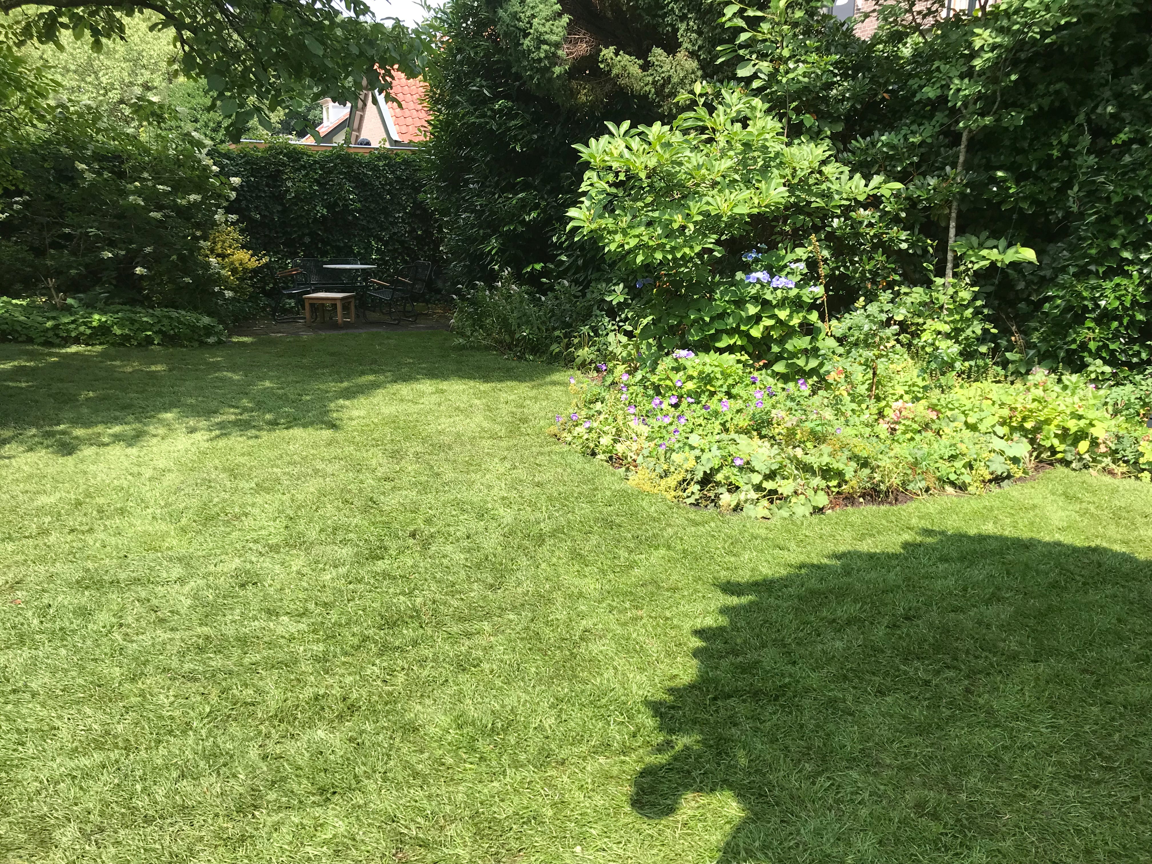 Graszoden laten leggen - 31 m² tot 50 m²